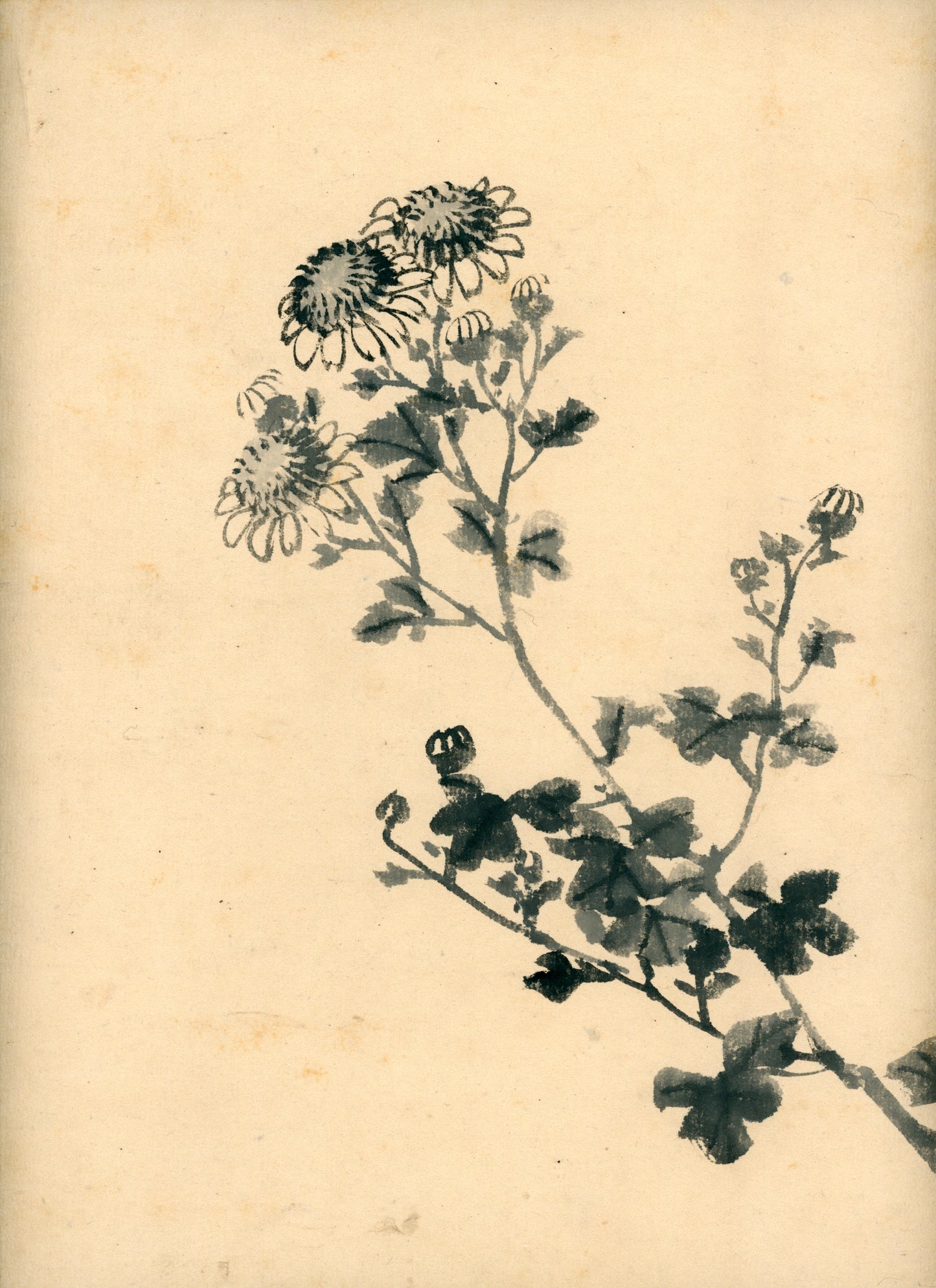 Matsukichi Shōkei (松吉樵渓) ?-1870, long emakimono  "Collection of Painting Models by the Late Master Shōkei Matsukichi"