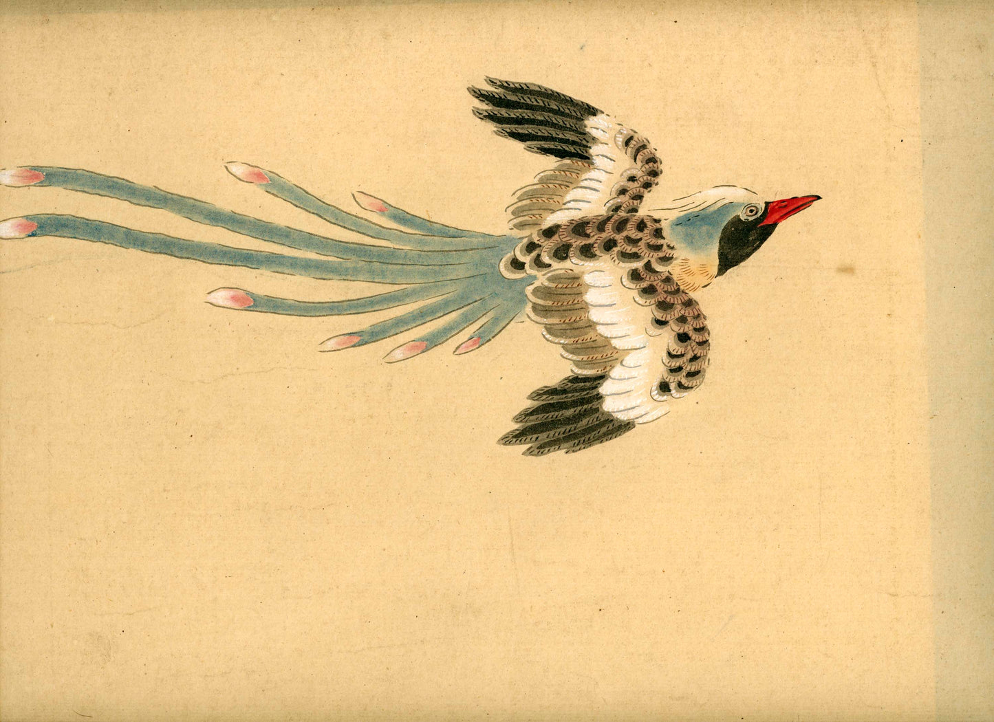 Emakimono scroll 絵巻物 虫と鳥影 Mushi to choei - Insects and shadows of birds - Unknown, after Taki Katei (瀧和亭 1830 – 1901)