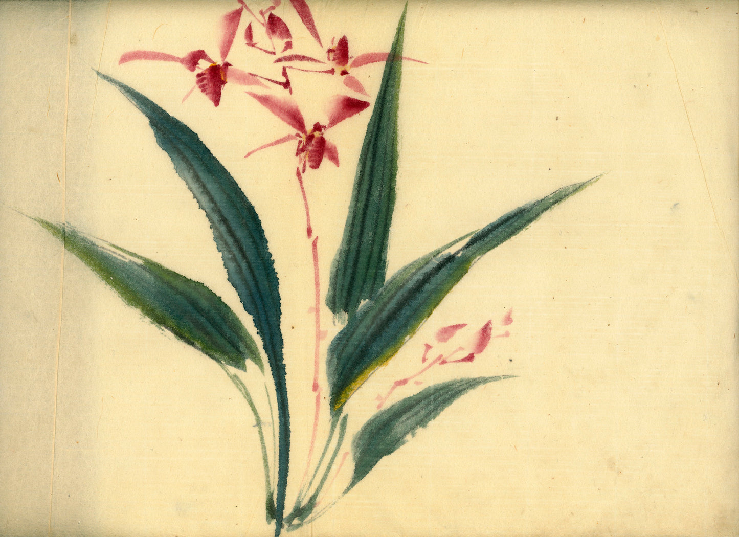 2 emakimono scrolls 花鳥畫 / 4 kakejiku scrolls  Goto Shugai 1886-? 後藤秋崖