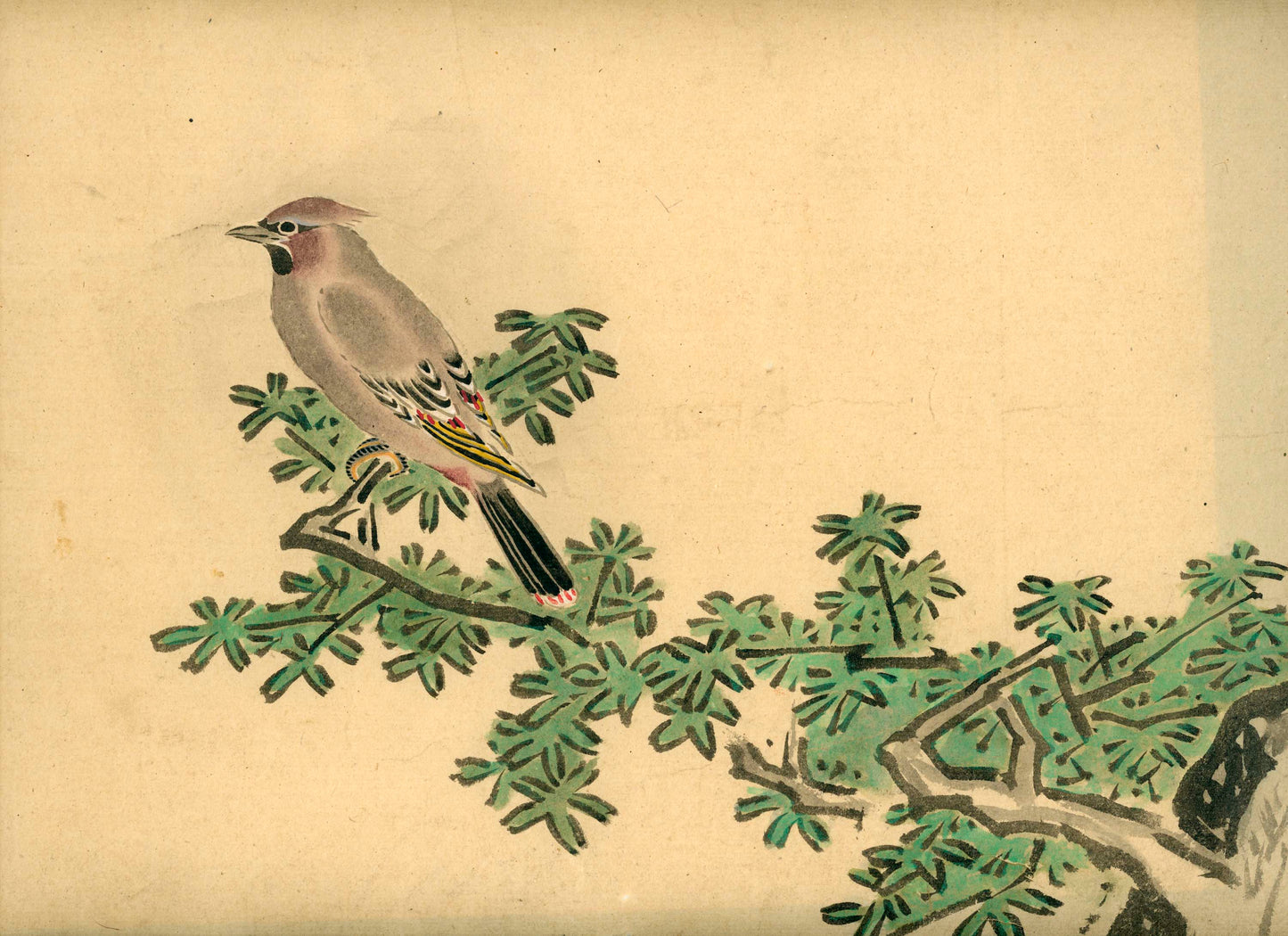 Emakimono scroll 絵巻物 虫と鳥影 Mushi to choei - Insects and shadows of birds - Unknown, after Taki Katei (瀧和亭 1830 – 1901)