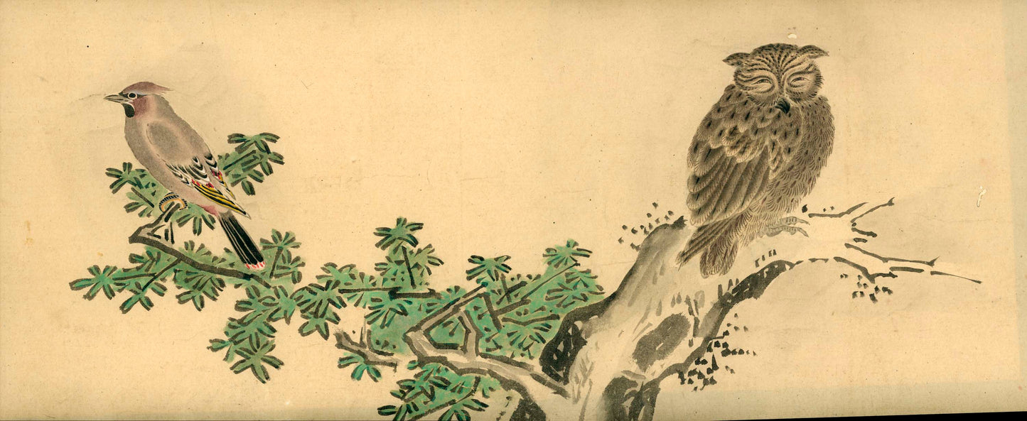 Emakimono scroll 絵巻物 虫と鳥影 Mushi to choei - Insects and shadows of birds - Unknown, after Taki Katei (瀧和亭 1830 – 1901)