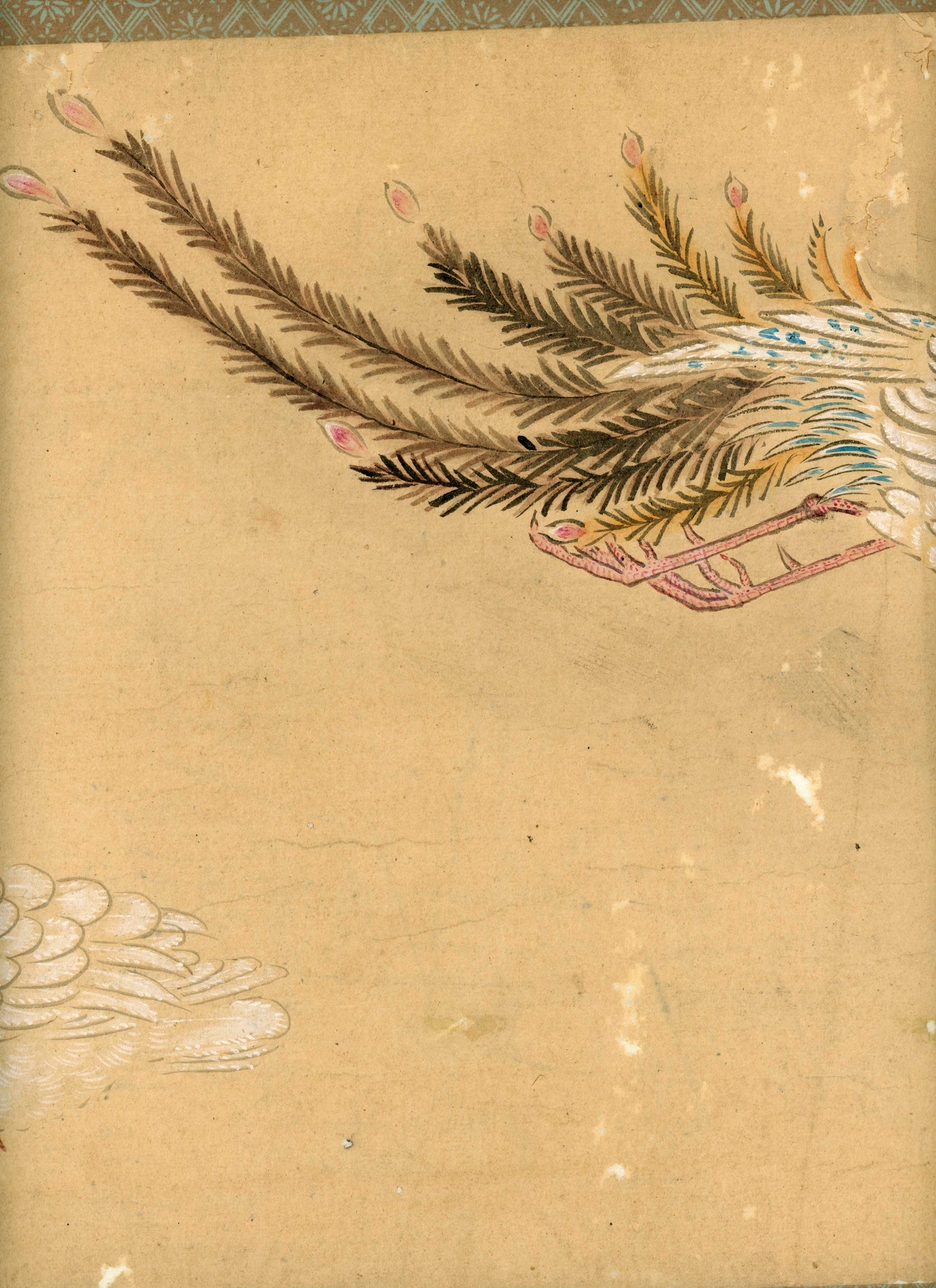 Emakimono scroll 絵巻物 虫と鳥影 Mushi to choei - Insects and shadows of birds - Unknown, after Taki Katei (瀧和亭 1830 – 1901)