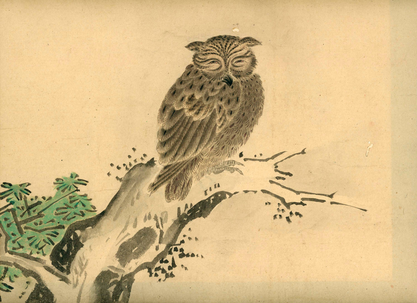 Emakimono scroll 絵巻物 虫と鳥影 Mushi to choei - Insects and shadows of birds - Unknown, after Taki Katei (瀧和亭 1830 – 1901)