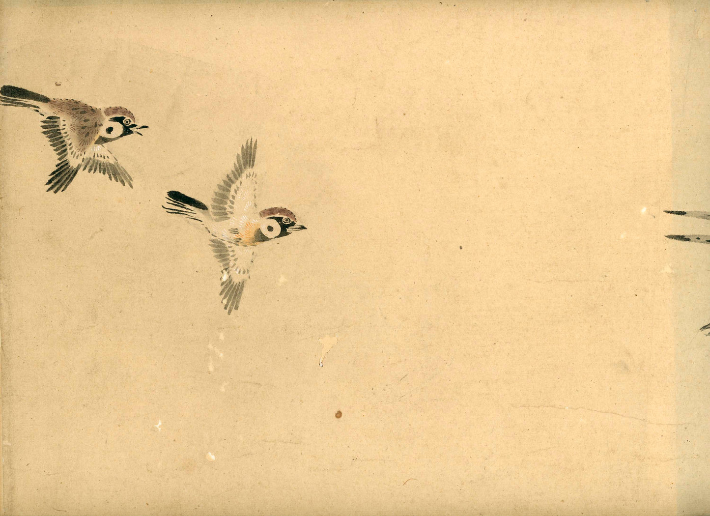 Emakimono scroll 絵巻物 虫と鳥影 Mushi to choei - Insects and shadows of birds - Unknown, after Taki Katei (瀧和亭 1830 – 1901)