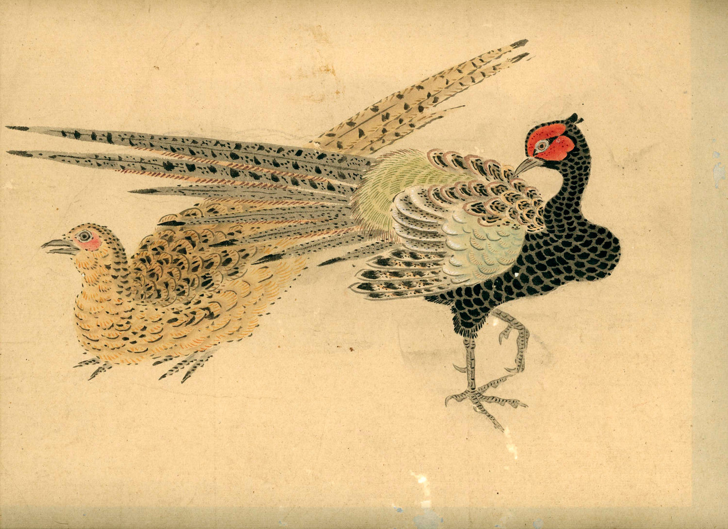 Emakimono scroll 絵巻物 虫と鳥影 Mushi to choei - Insects and shadows of birds - Unknown, after Taki Katei (瀧和亭 1830 – 1901)