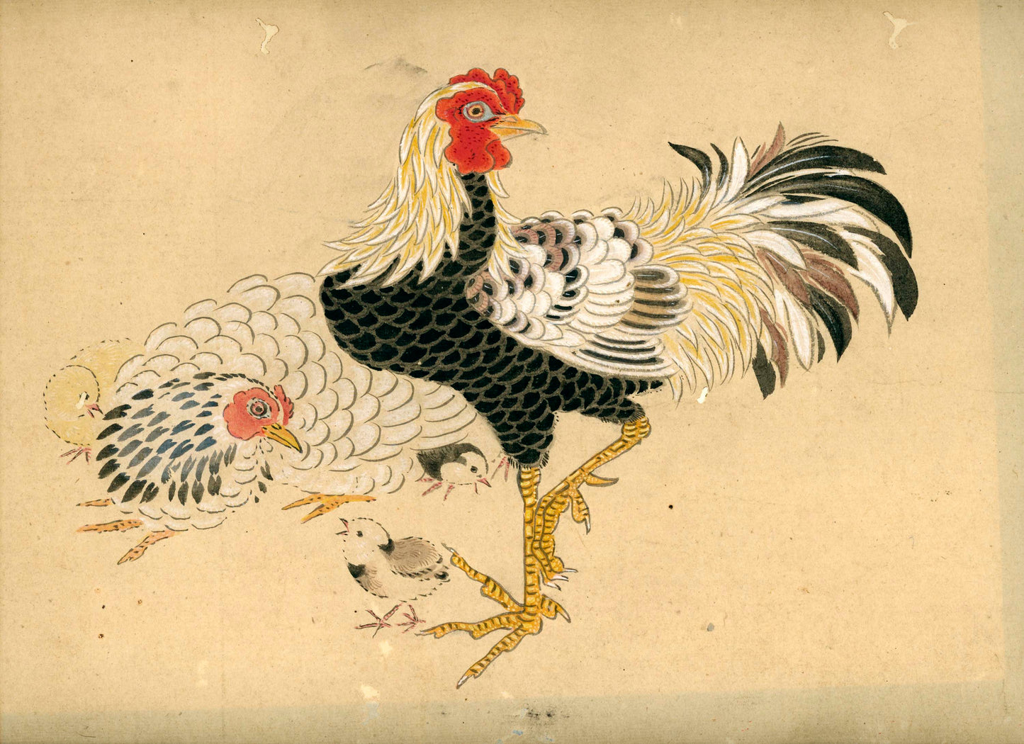 Emakimono scroll 絵巻物 虫と鳥影 Mushi to choei - Insects and shadows of birds - Unknown, after Taki Katei (瀧和亭 1830 – 1901)