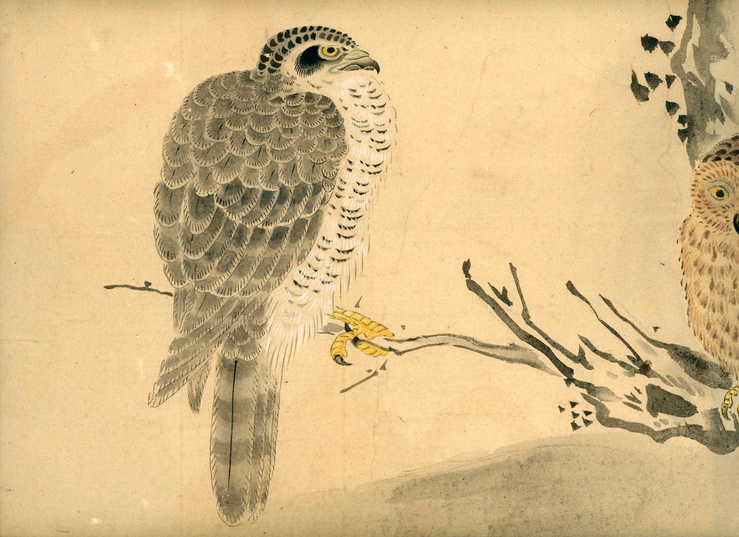 Emakimono scroll 絵巻物 虫と鳥影 Mushi to choei - Insects and shadows of birds - Unknown, after Taki Katei (瀧和亭 1830 – 1901)