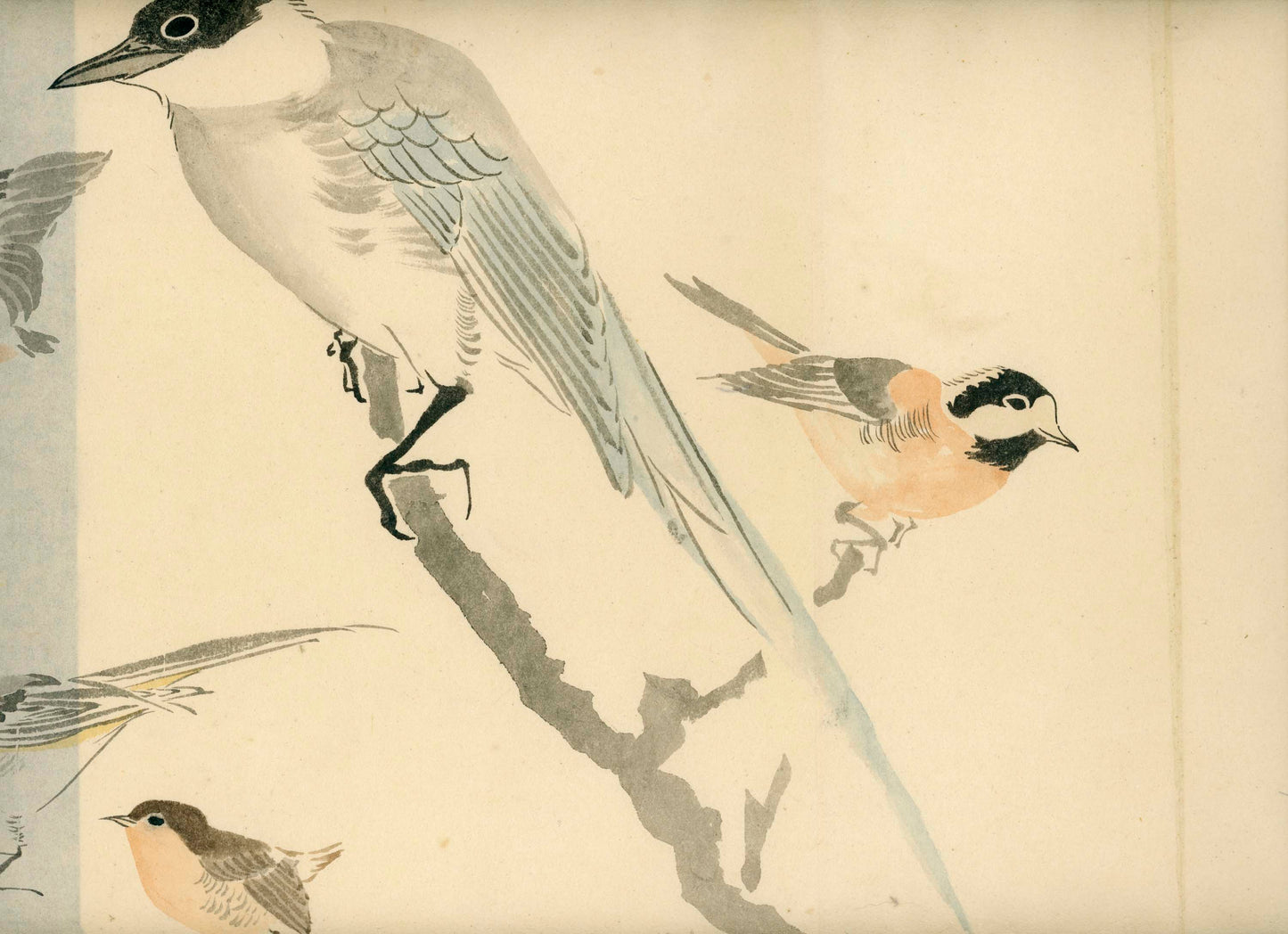 Emakimono - Birds, Sato Tempu scroll, 26 x 520 cm, sealed and signed