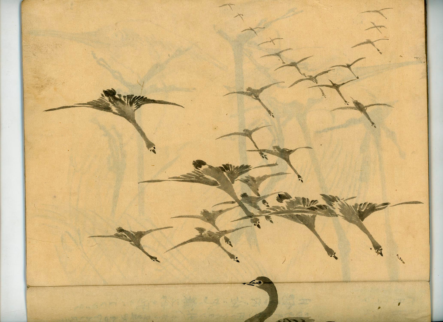 鳥類圖譜  handpainted art album of birds (kacho-ga) 21 full-page illustrations, superb brushwork