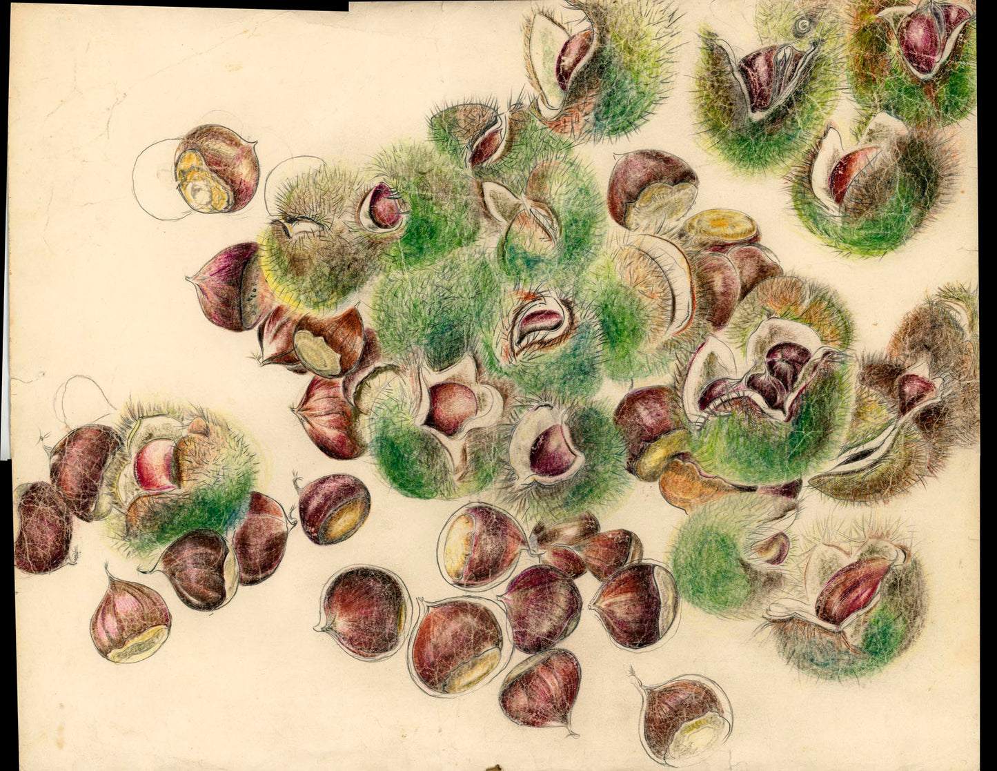 A painter's archive