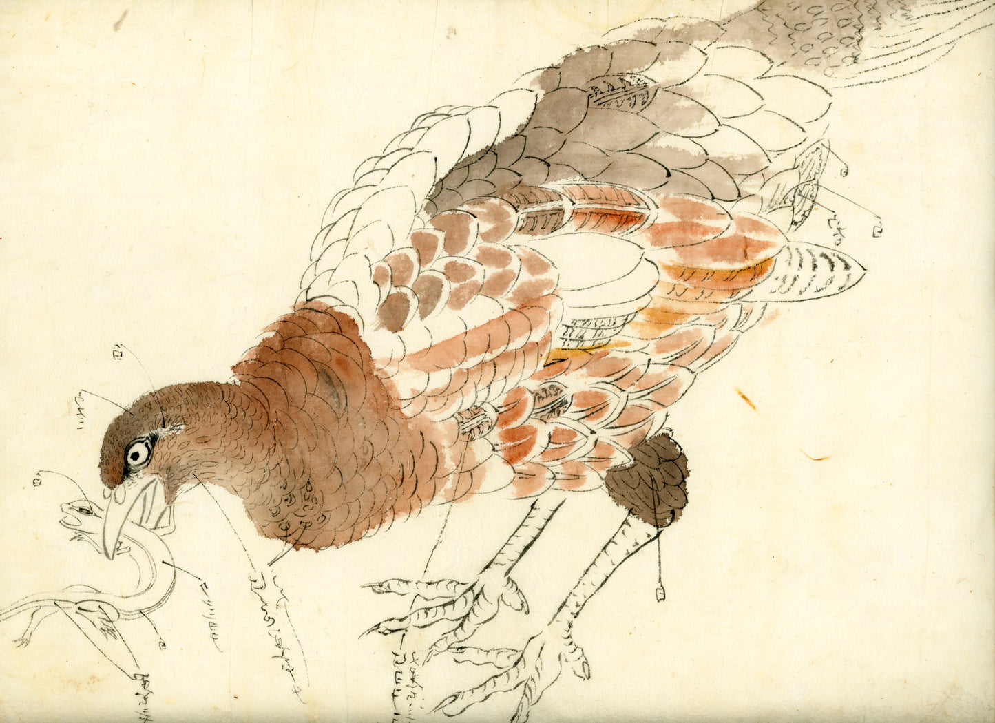 2 emakimono scrolls 花鳥畫 / 4 kakejiku scrolls  Goto Shugai 1886-? 後藤秋崖