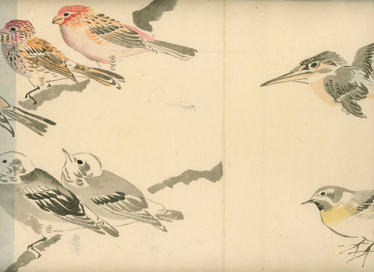 Emakimono - Birds, Sato Tempu scroll, 26 x 520 cm, sealed and signed