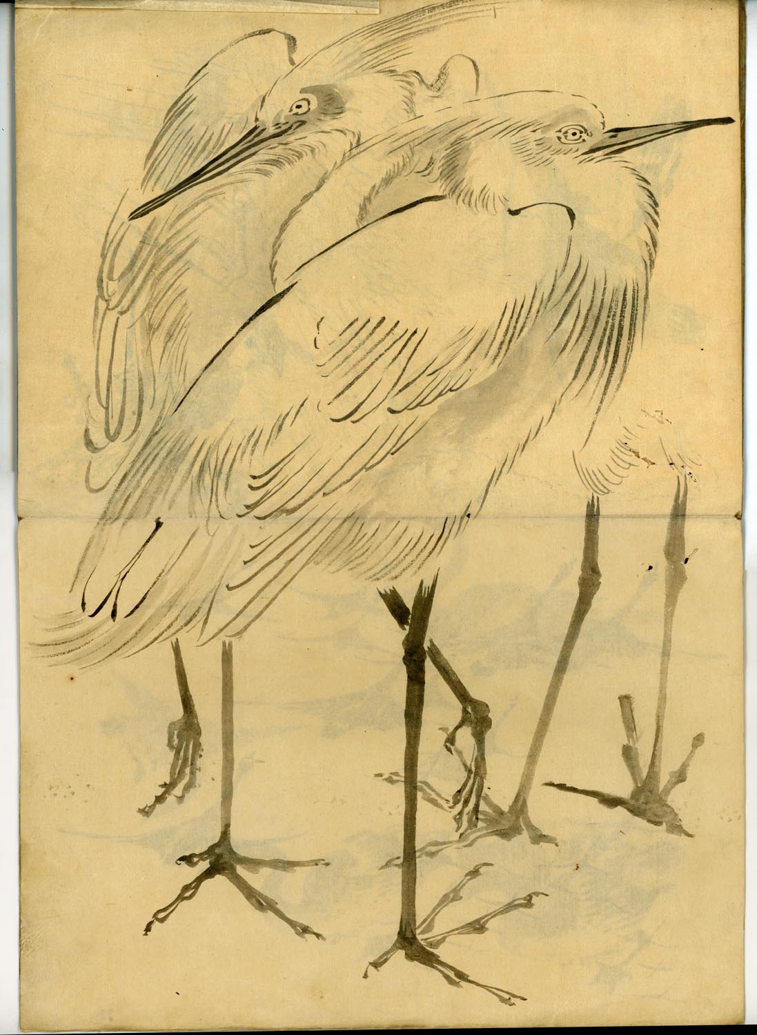 鳥類圖譜  handpainted art album of birds (kacho-ga) 21 full-page illustrations, superb brushwork