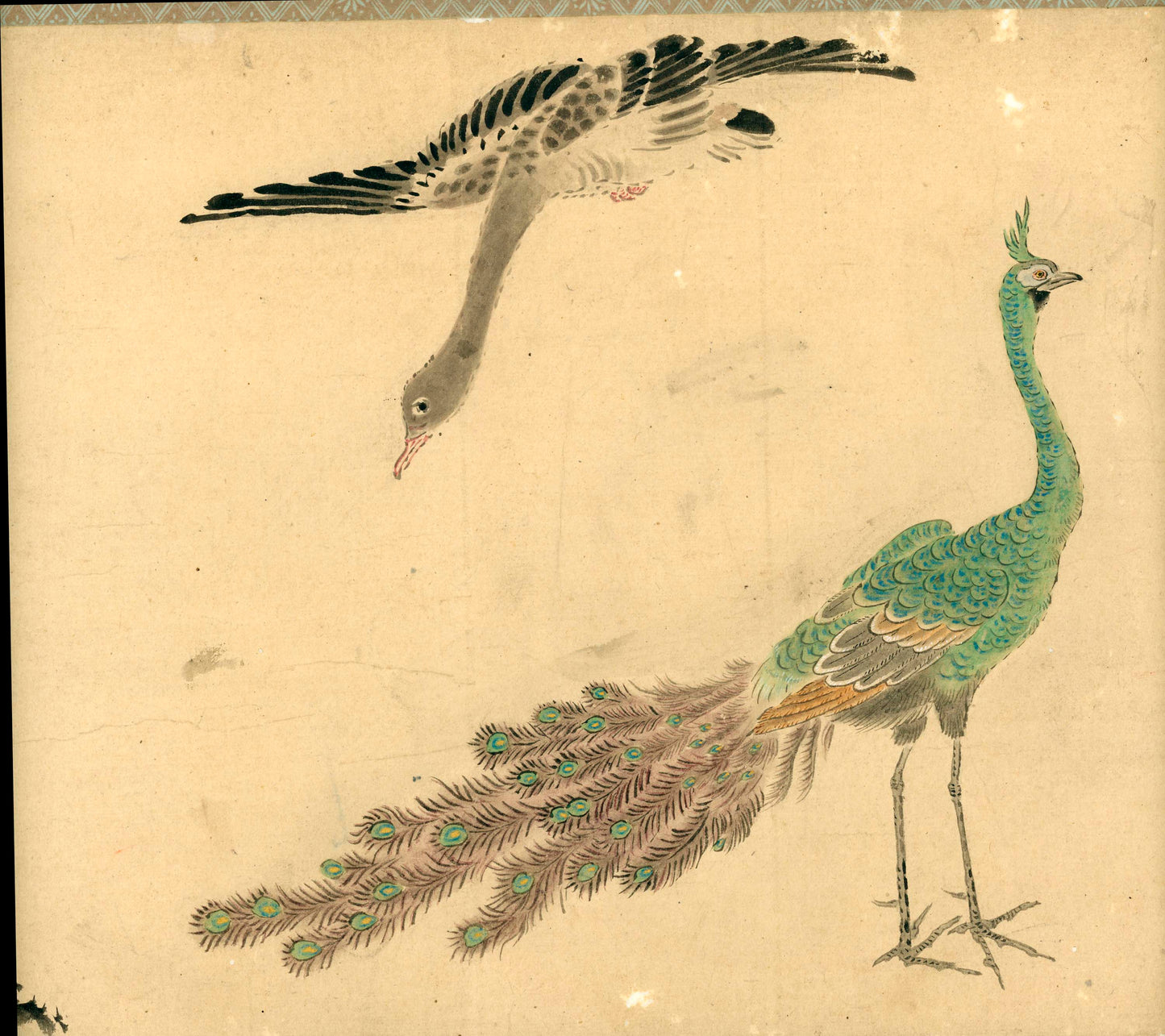 Emakimono scroll 絵巻物 虫と鳥影 Mushi to choei - Insects and shadows of birds - Unknown, after Taki Katei (瀧和亭 1830 – 1901)