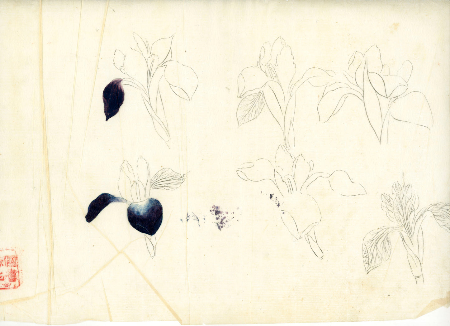 2 emakimono scrolls 花鳥畫 / 4 kakejiku scrolls  Goto Shugai 1886-? 後藤秋崖