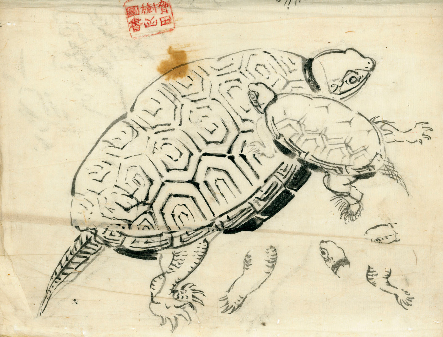 2 emakimono scrolls 花鳥畫 / 4 kakejiku scrolls  Goto Shugai 1886-? 後藤秋崖