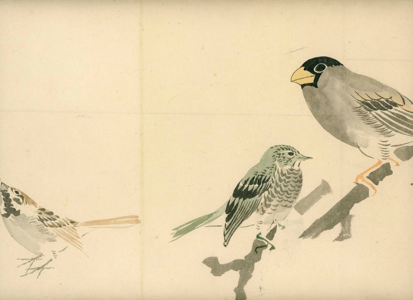 Emakimono - Birds, Sato Tempu scroll, 26 x 520 cm, sealed and signed