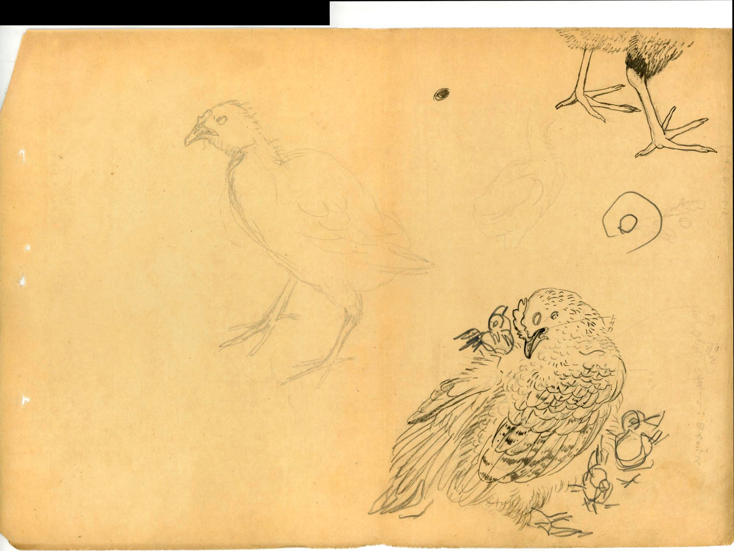 A painter's archive