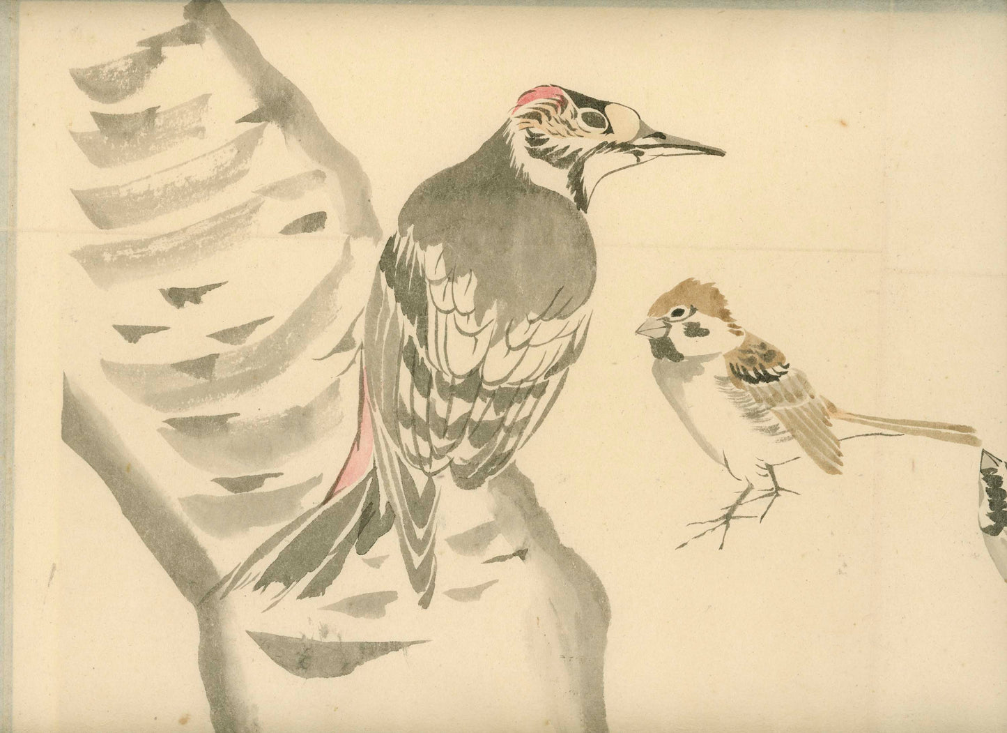 Emakimono - Birds, Sato Tempu scroll, 26 x 520 cm, sealed and signed