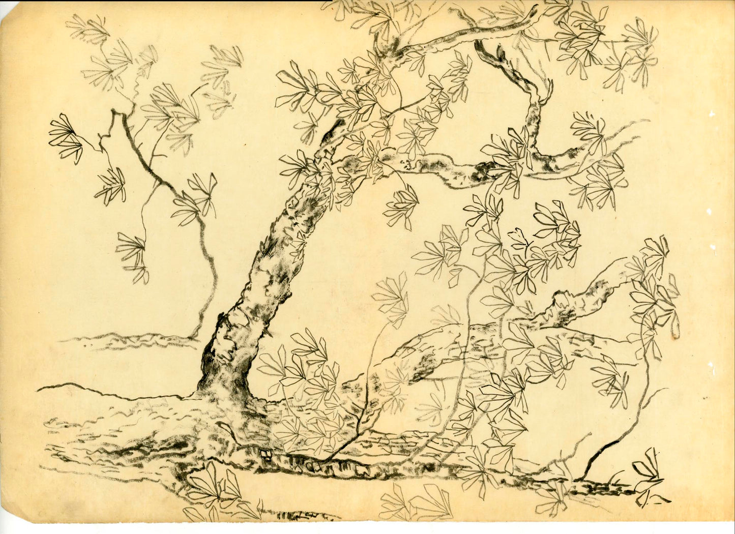 A painter's archive