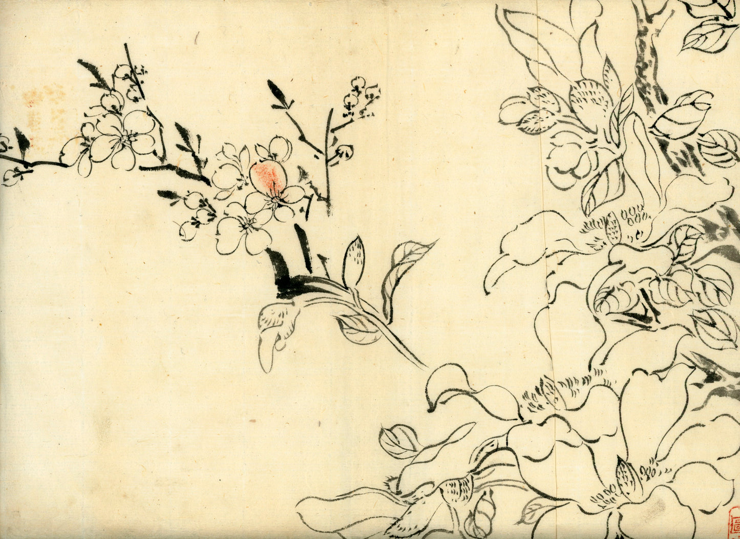 2 emakimono scrolls 花鳥畫 / 4 kakejiku scrolls  Goto Shugai 1886-? 後藤秋崖