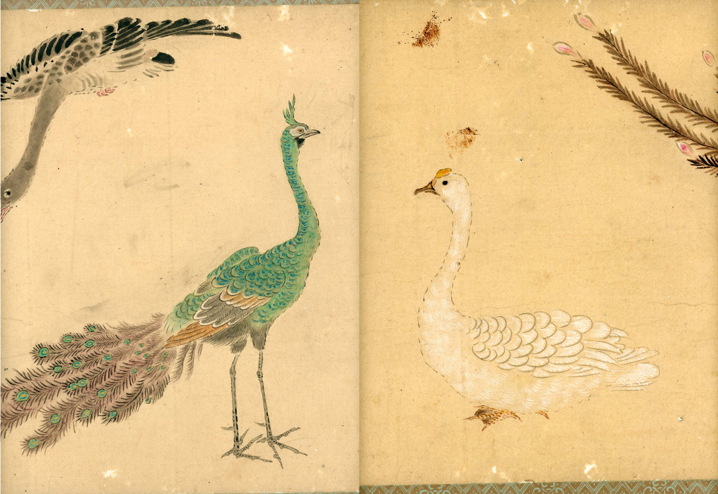 Emakimono scroll 絵巻物 虫と鳥影 Mushi to choei - Insects and shadows of birds - Unknown, after Taki Katei (瀧和亭 1830 – 1901)