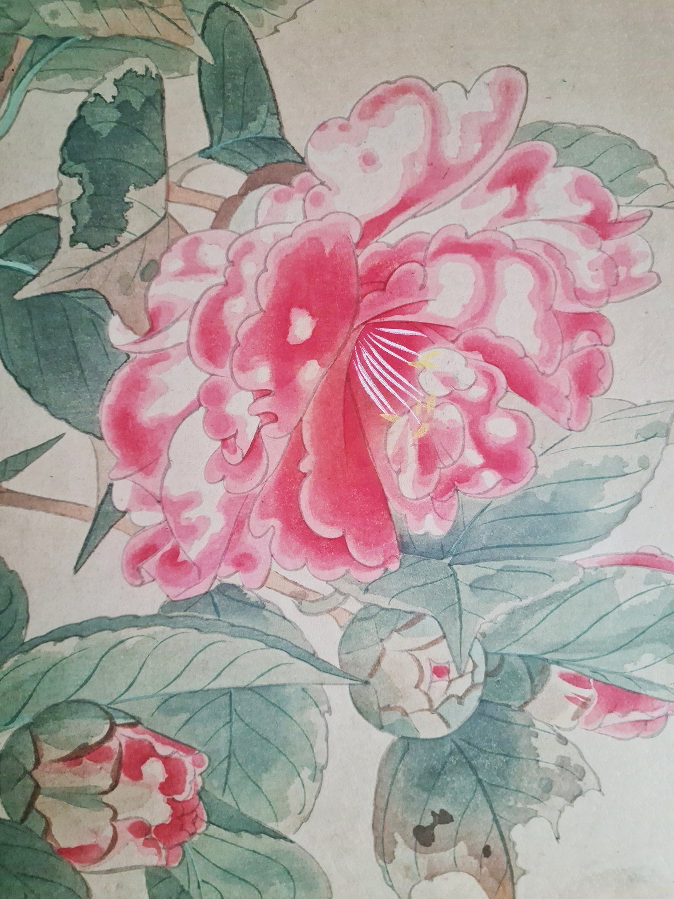 Fukuda Suiko 福田翠光 (1895-1973) - Yaetsubaki 八重椿 - Red Camellia - 1936