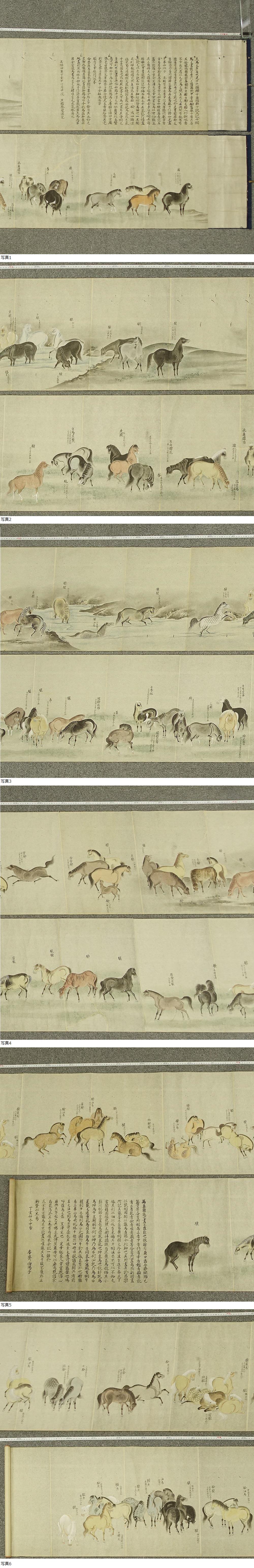 dated Shōhō (正保) 4 /1648 - 2 scrolls/ 42cm x 690/595 cm/One hundred Horses