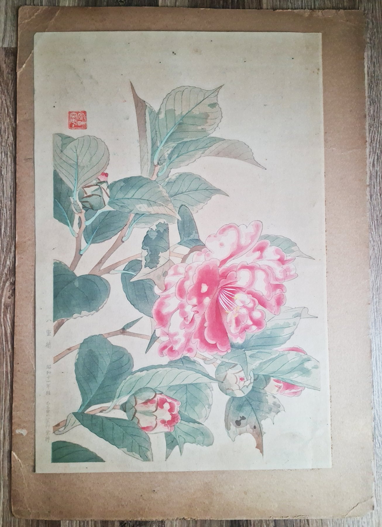 Fukuda Suiko 福田翠光 (1895-1973) - Yaetsubaki 八重椿 - Red Camellia - 1936