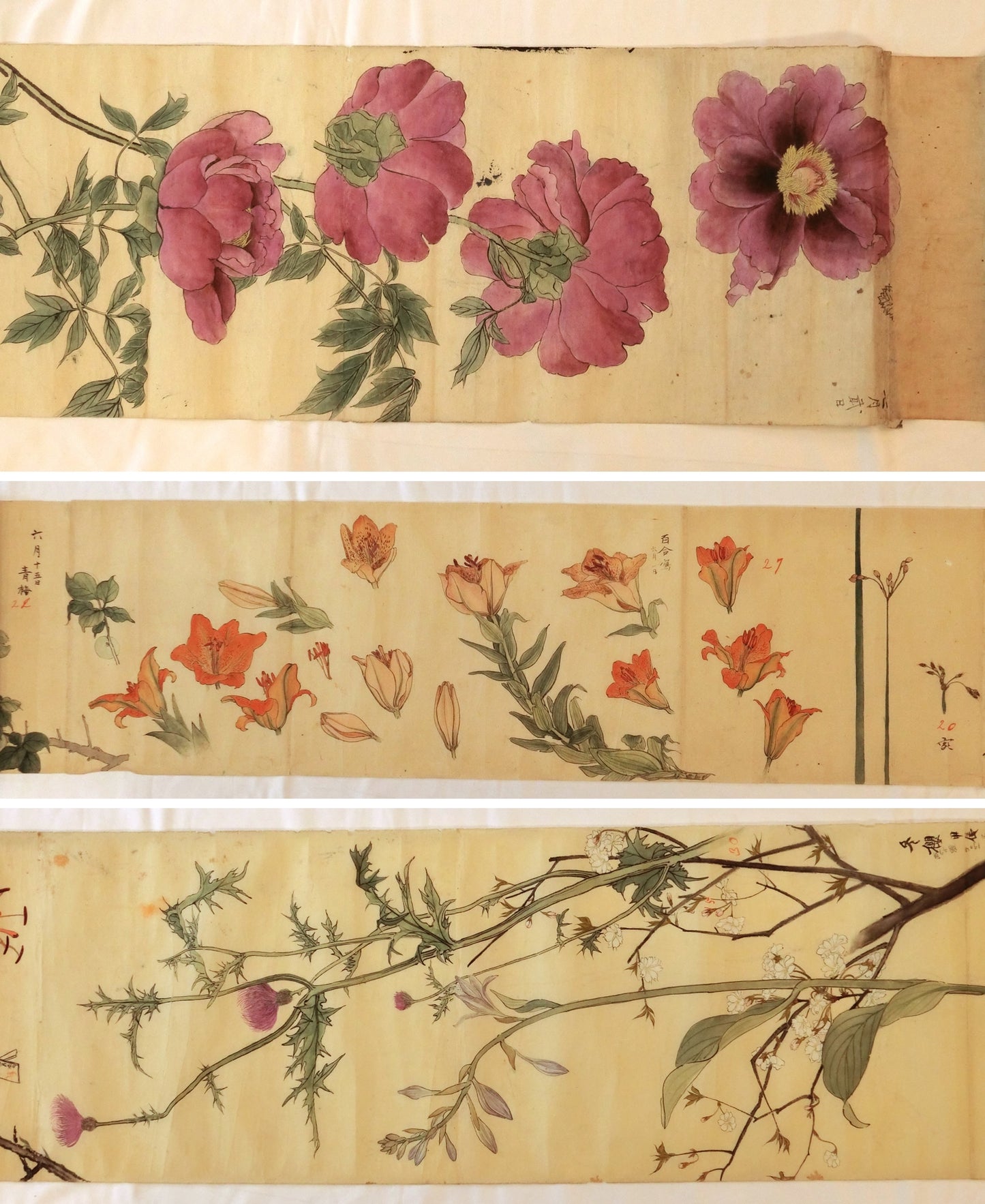 Emakimono - botanical paintings, dated Meiji 35 (1902)