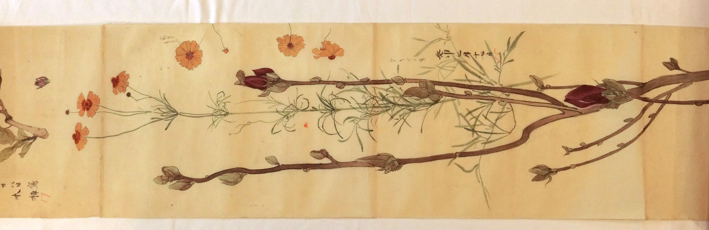 Emakimono - botanical paintings, dated Meiji 35 (1902)