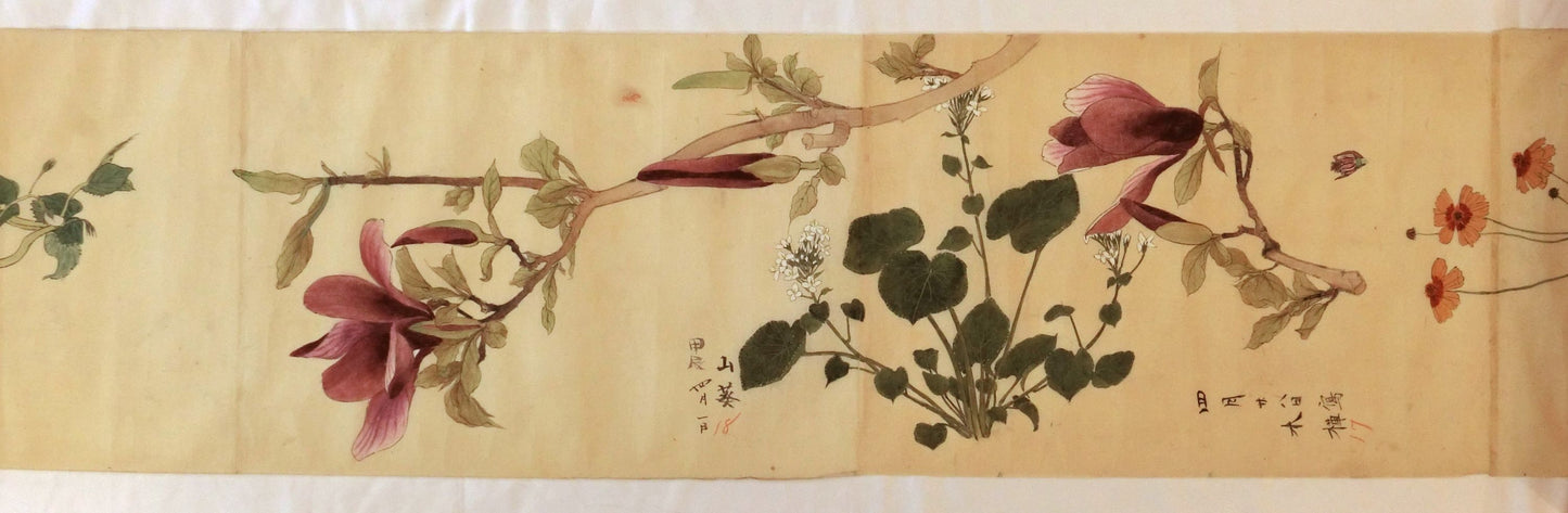 Emakimono - botanical paintings, dated Meiji 35 (1902)
