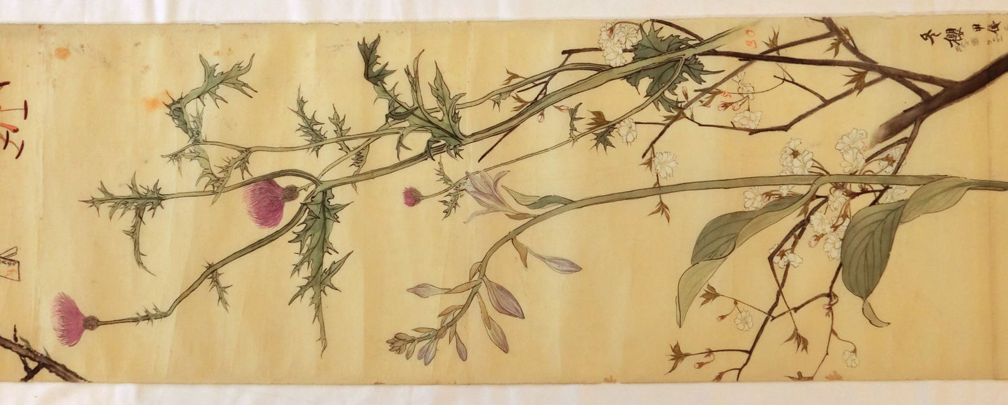 Emakimono - botanical paintings, dated Meiji 35 (1902)