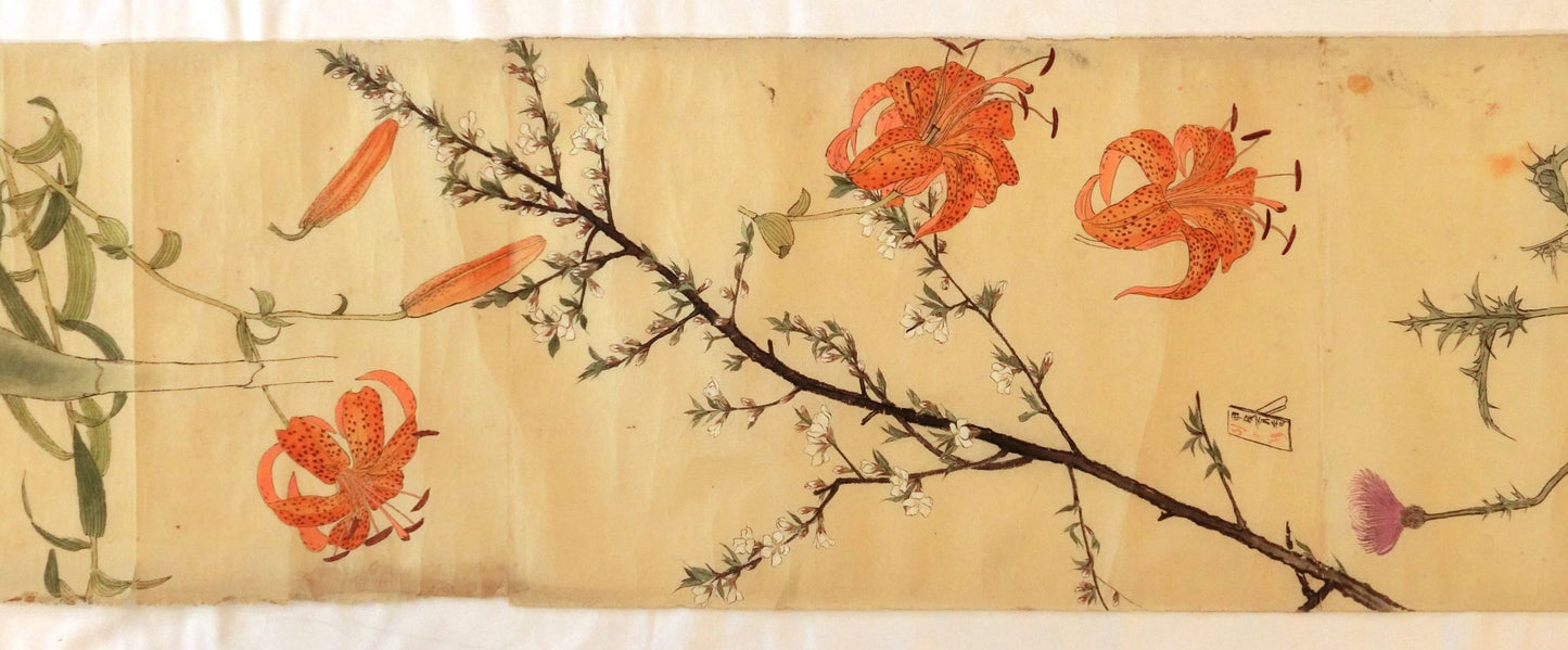 Emakimono - botanical paintings, dated Meiji 35 (1902)