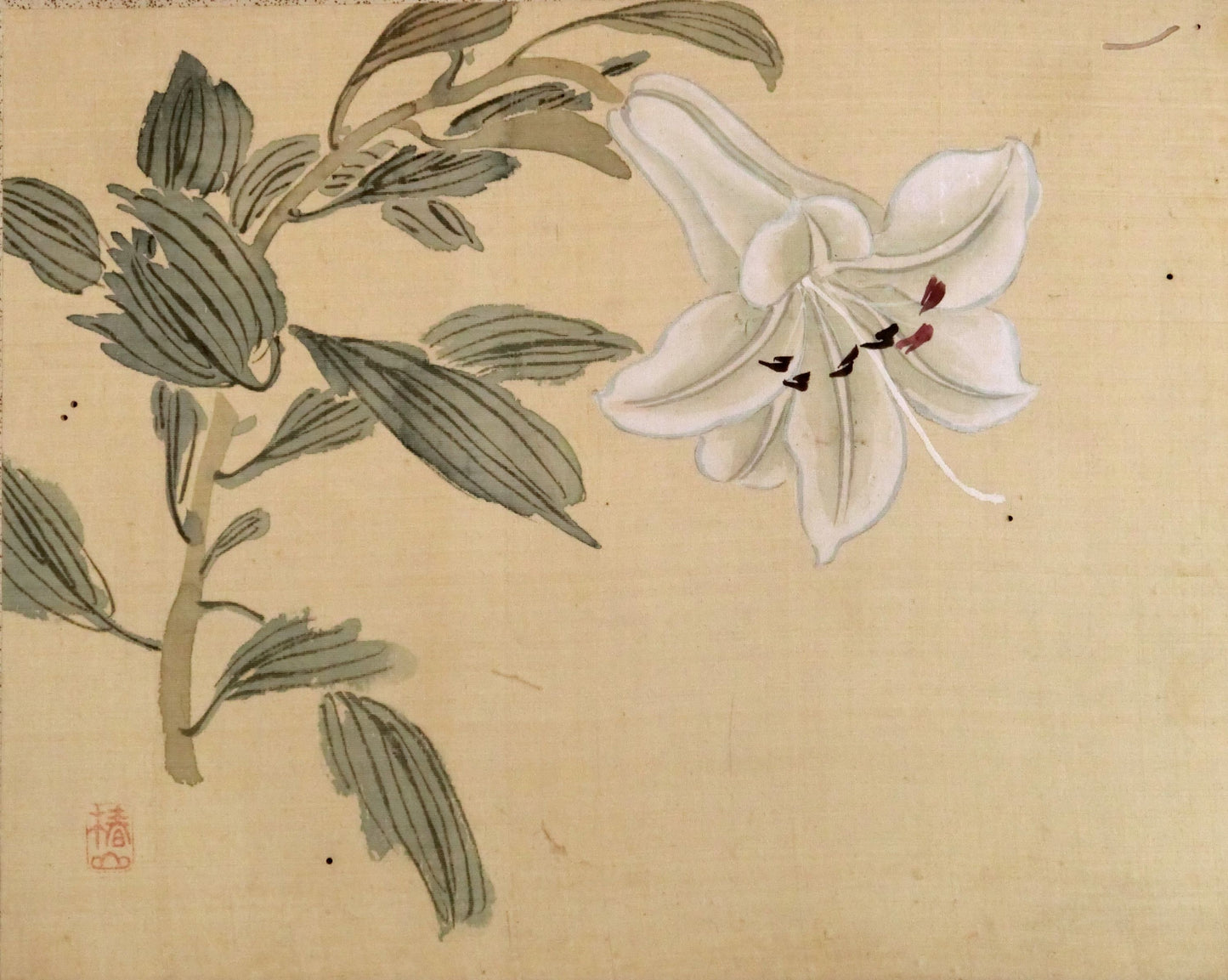 Tsubaki Chinzan 椿椿山 1801-1854