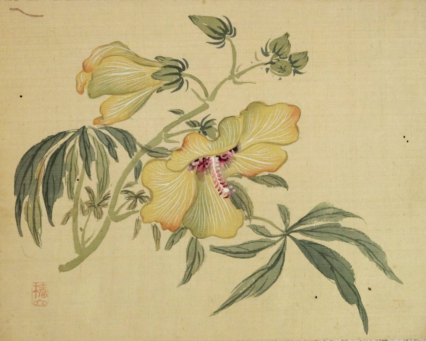 Tsubaki Chinzan 椿椿山 1801-1854