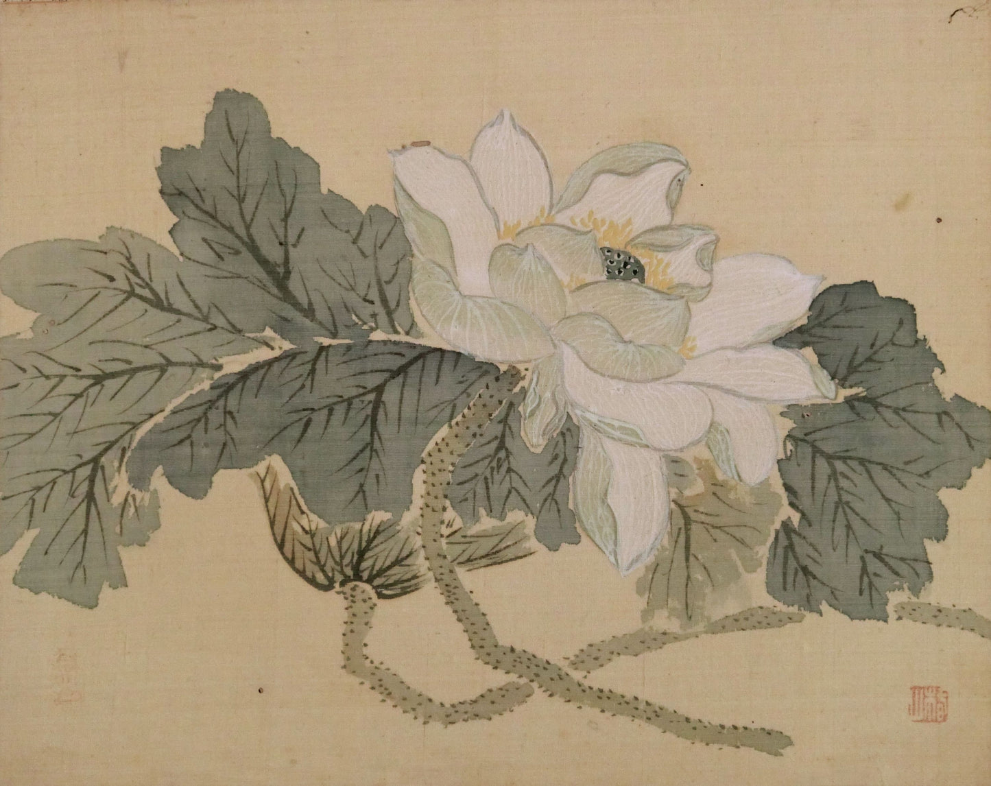 Tsubaki Chinzan 椿椿山 1801-1854