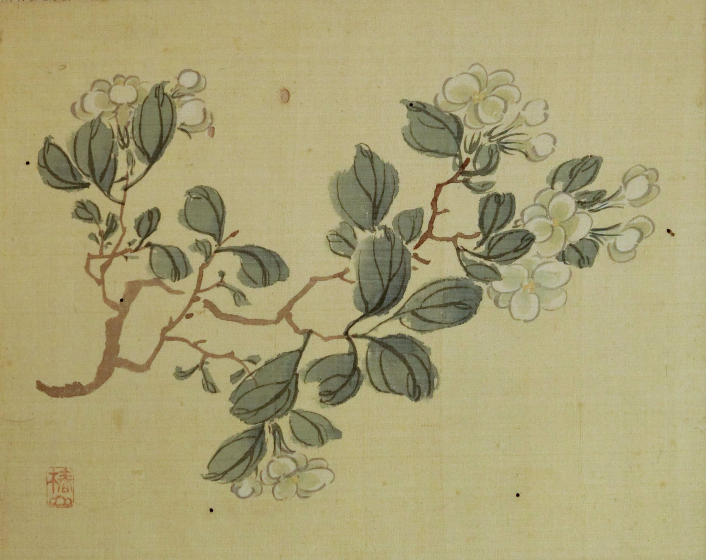 Tsubaki Chinzan 椿椿山 1801-1854