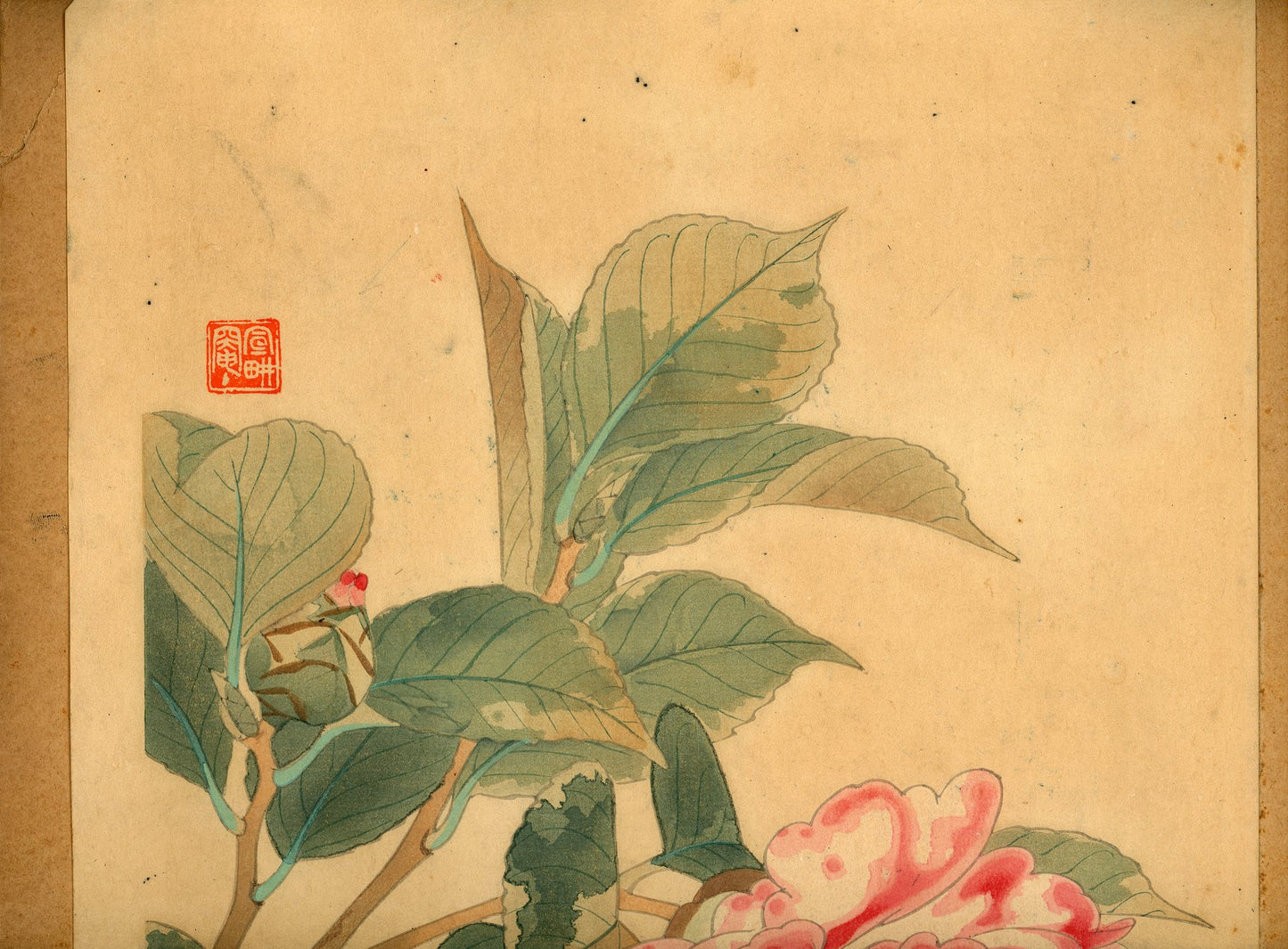 Fukuda Suiko 福田翠光 (1895-1973) - Yaetsubaki 八重椿 - Red Camellia - 1936