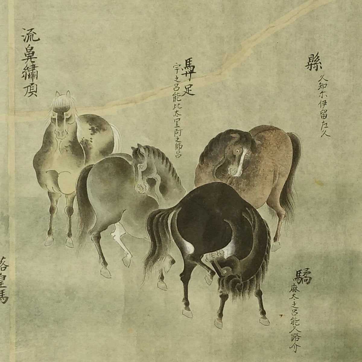 dated Shōhō (正保) 4 /1648 - 2 scrolls/ 42cm x 690/595 cm/One hundred Horses