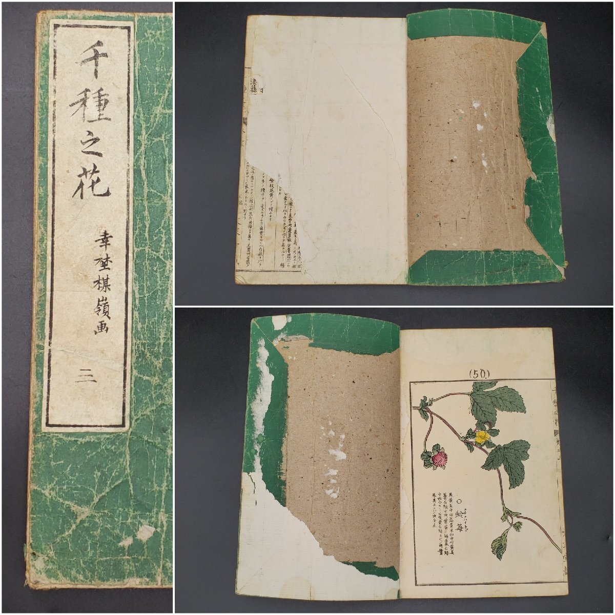 Chigusa no Hana by Kono Bairei, 4 vols.