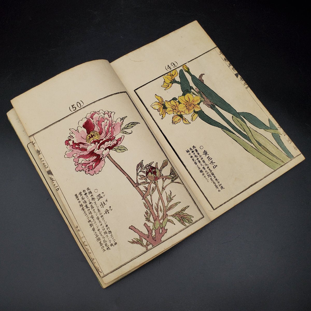 Chigusa no Hana by Kono Bairei, 4 vols.