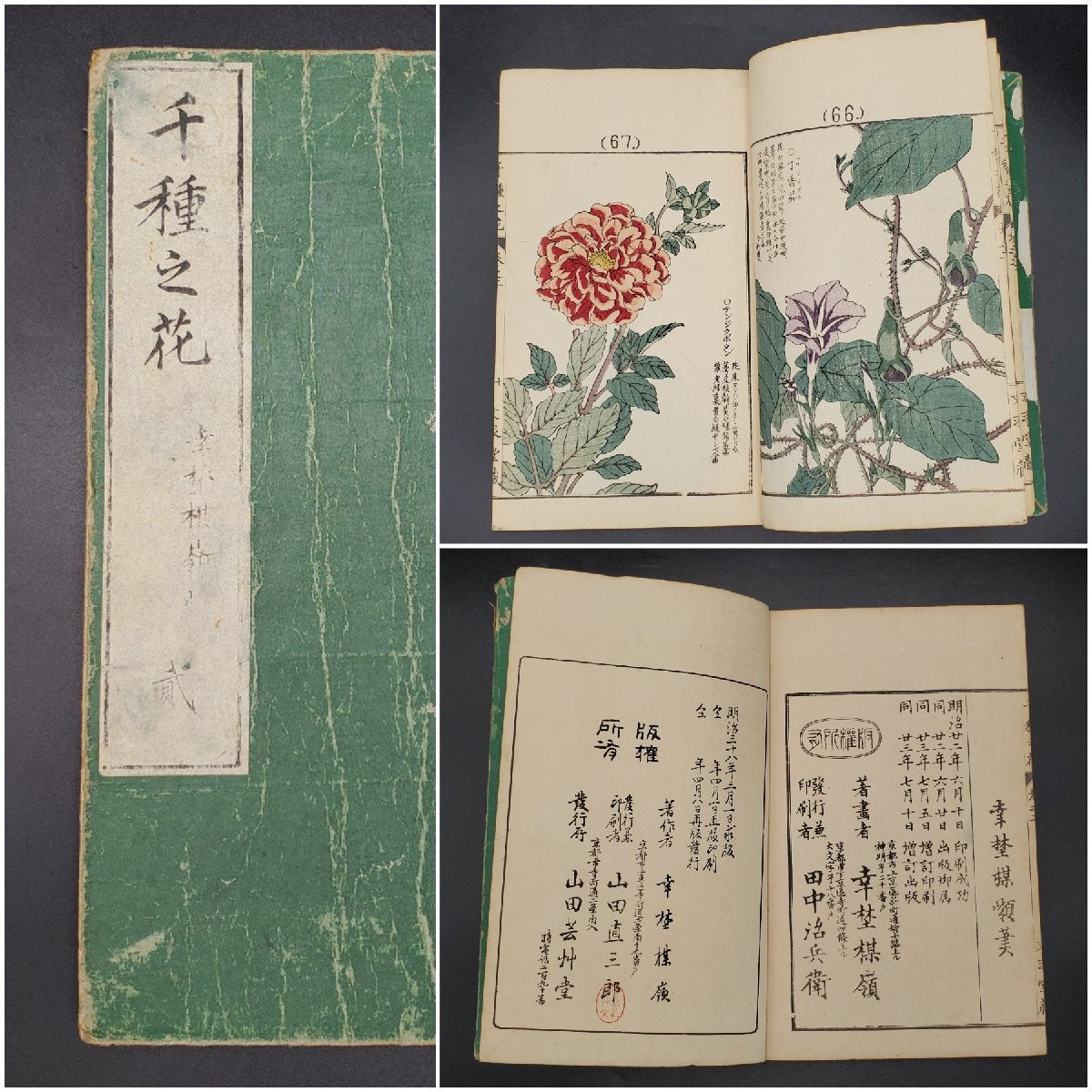 Chigusa no Hana by Kono Bairei, 4 vols.