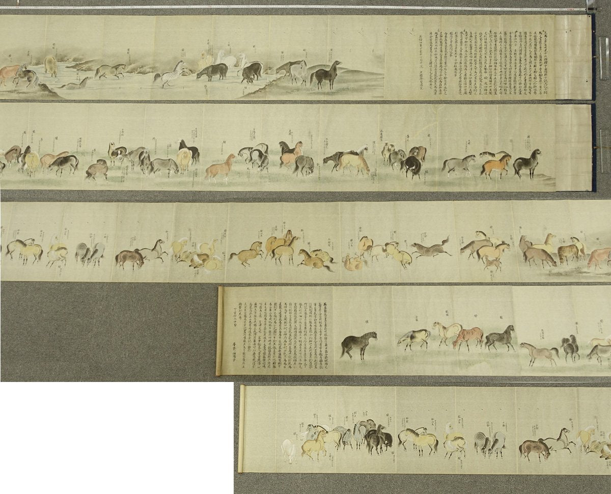 dated Shōhō (正保) 4 /1648 - 2 scrolls/ 42cm x 690/595 cm/One hundred Horses