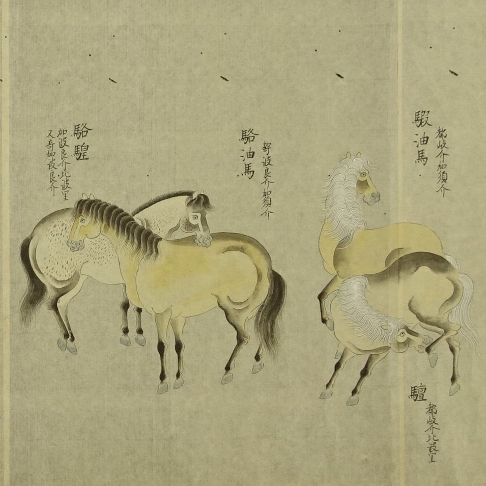 dated Shōhō (正保) 4 /1648 - 2 scrolls/ 42cm x 690/595 cm/One hundred Horses