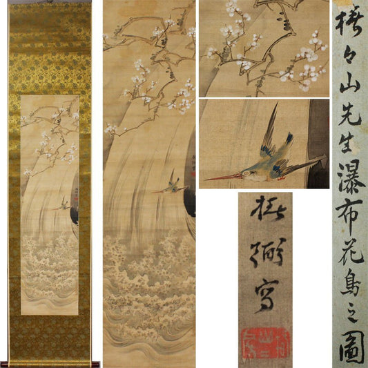 Tsubaki Chinzan 椿椿山 1801-1854, kakejiku hanging scroll