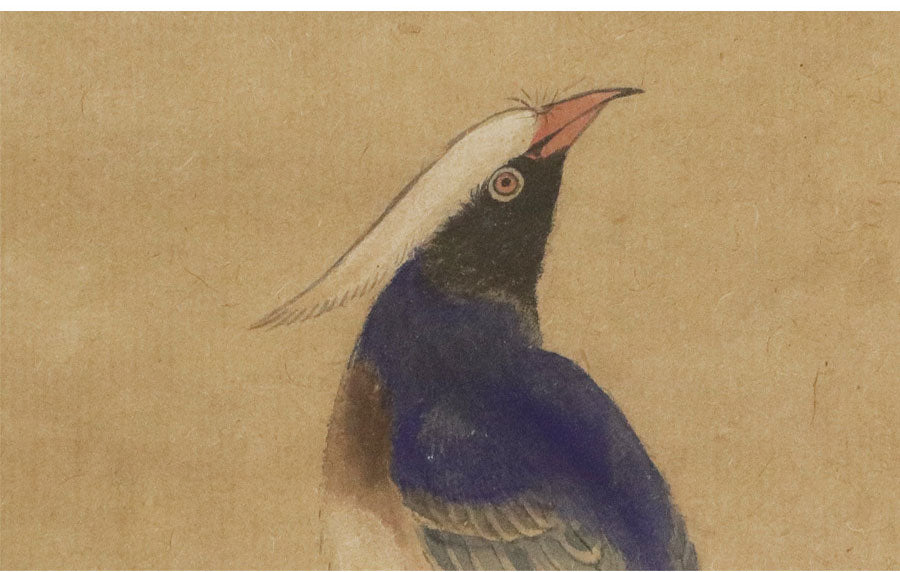 4. Watanabe Kazan (渡辺崋山) 1793-1841, kakejiku scroll